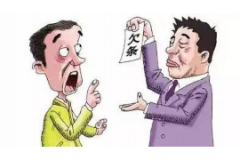 荔城债务清欠服务